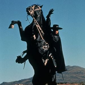 Foto Zorro