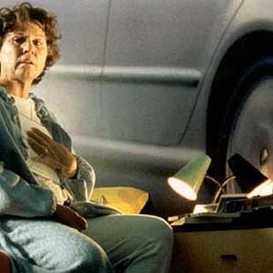 Foto João Pedro Rodrigues