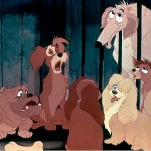 Foto A Dama e o Vagabundo