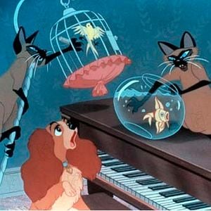 Foto A Dama e o Vagabundo