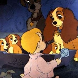 Foto A Dama e o Vagabundo