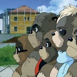 Foto PomPoko: A Grande Batalha dos Guaxinins