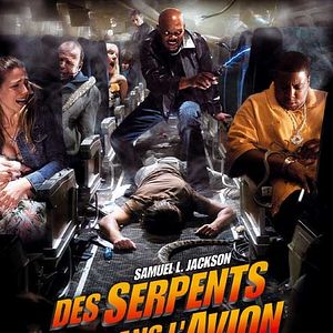 Foto Serpentes a Bordo