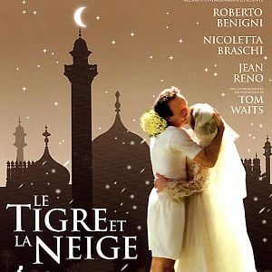 Foto O Tigre e a Neve