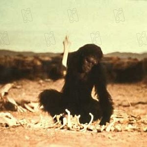 Foto 2001 - Uma Odisséia no Espaço