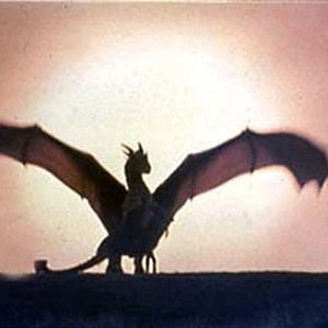 Foto Coração de Dragão