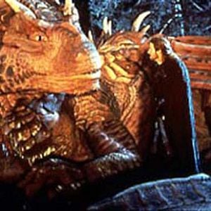 Foto Coração de Dragão