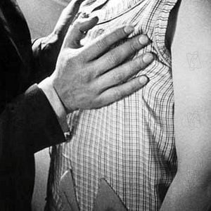 Foto Um Cão Andaluz