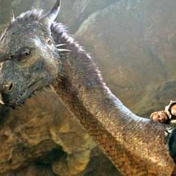 Foto Stefen Fangmeier