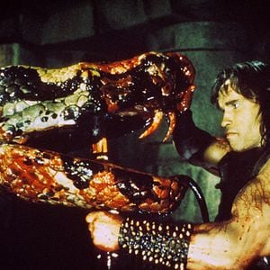 Foto Arnold Schwarzenegger