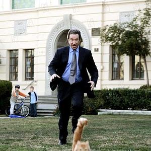 Foto Soltando os Cachorros