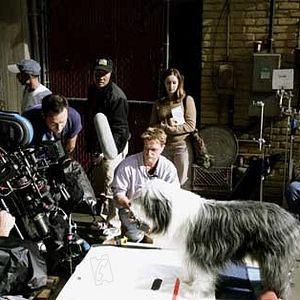 Foto Soltando os Cachorros