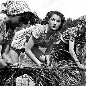 Foto Giuseppe de Santis