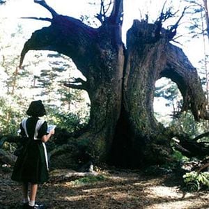 Foto O Labirinto do Fauno