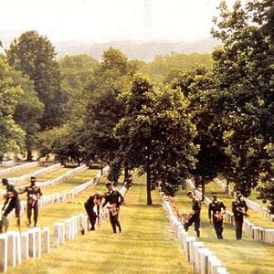 Foto Jardins de Pedra
