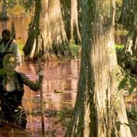 Foto A Colheita do Mal