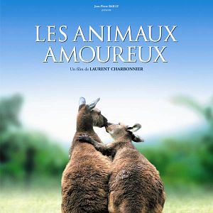 Foto Laurent Charbonnier