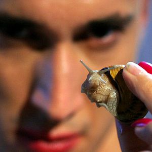 Foto Grégoire Colin