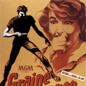 Foto Sementes de Violência