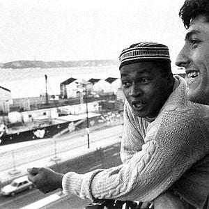 Foto Terra estrangeira