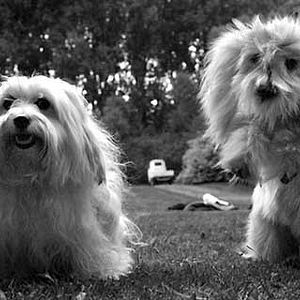 Foto Benoît Delépine