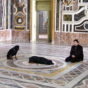 Foto Il Regista di matrimoni