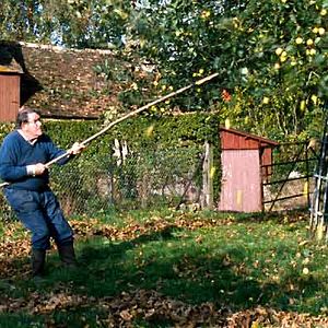 Foto De volta à Normadia
