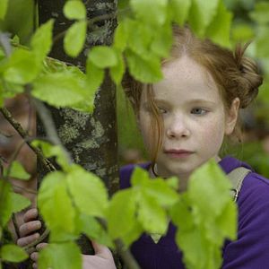 Foto Le renard et l'enfant