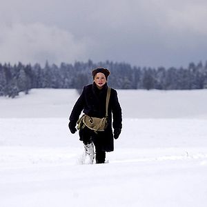 Foto Le renard et l'enfant