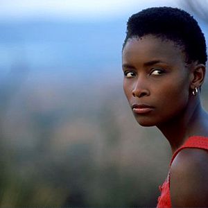 Foto Em Nome da Honra