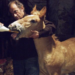 Foto Richard Bohringer