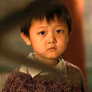 Foto Pequenas Flores Vermelhas