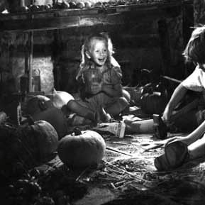 Foto Brinquedo Proibido