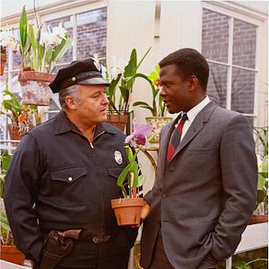 Foto No Calor da Noite