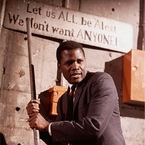 Foto No Calor da Noite