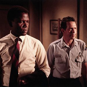 Foto No Calor da Noite