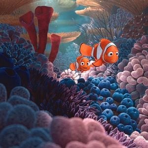 Foto Procurando Nemo