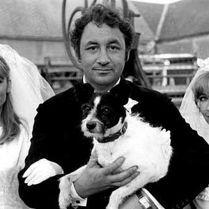 Foto Alexandre, o Felizardo