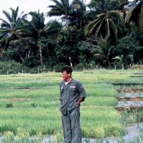 Foto Bom Dia, Vietnã
