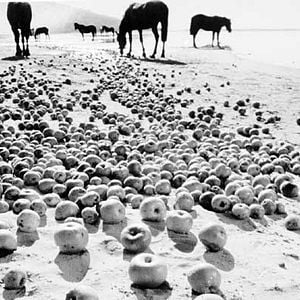 Foto Andreï Tarkovsky