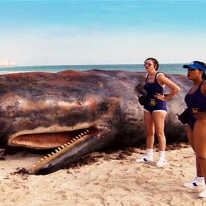 Foto Reno 911 Miami: O Filme