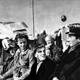 Foto Francesco Golisano