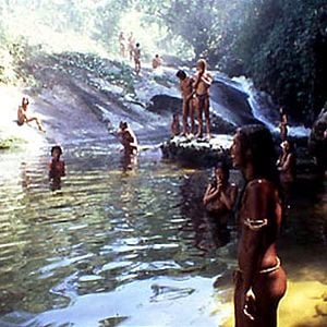 Foto A Floresta das Esmeraldas