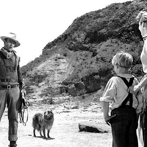 Foto Caminhos Ásperos