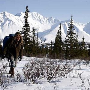 Foto Na Natureza Selvagem