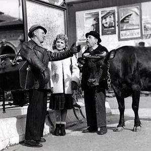 Foto Jeannette Batti