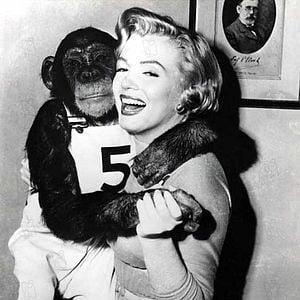 Foto O Inventor da Mocidade