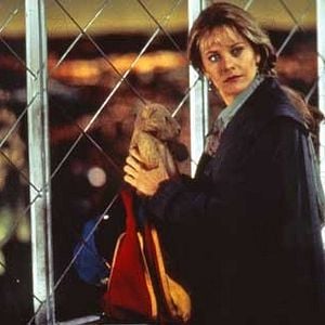 Foto Sintonia de Amor