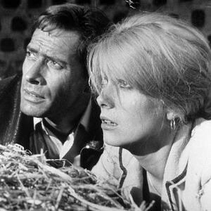 Foto A Farsa do Amor e da Guerra