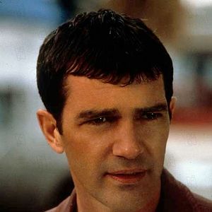 Foto Por Uma Boa Briga